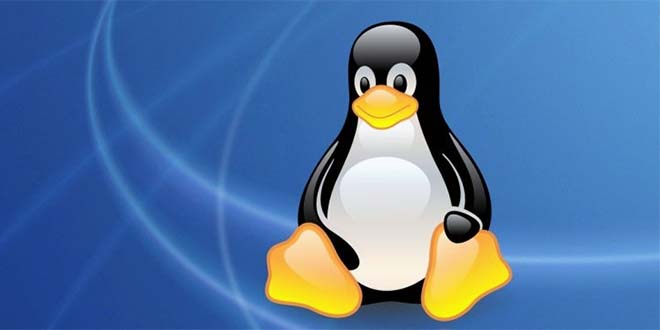 Быстрая загрузка Linux