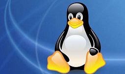 Быстрая загрузка Linux